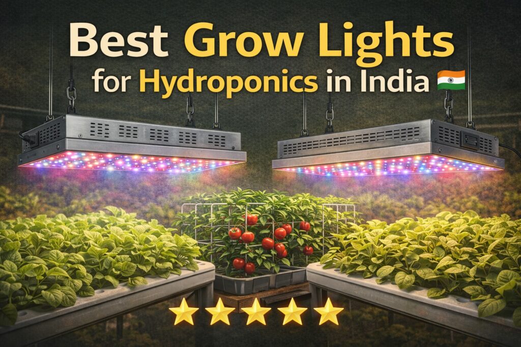 Best LED grow lights for hydroponics in India powering indoor leafy green and tomato production.