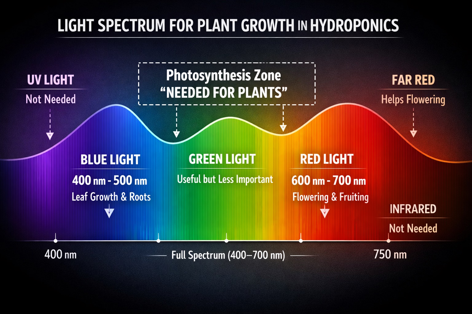 Diagram showing the light spectrum plants need for hydroponic growth.